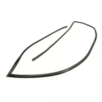 Baguette et bande protectrice, pare-brise avant droit BLIC