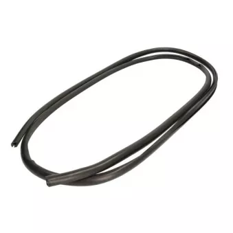 Baguette et bande protectrice, pare-brise avant droit BLIC