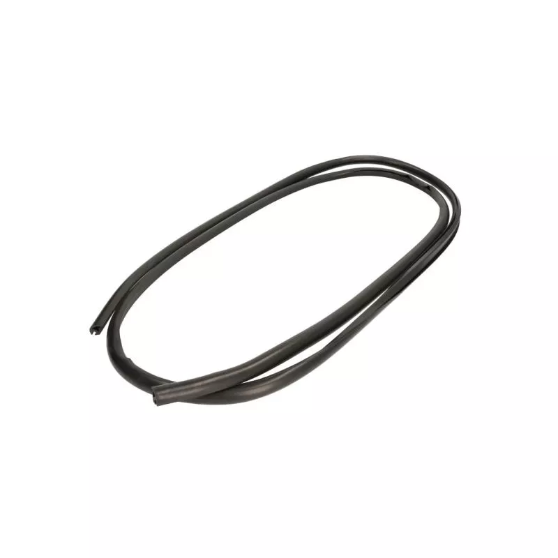 Baguette et bande protectrice, pare-brise avant droit BLIC 5703-04-6037390Q