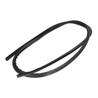 Baguette et bande protectrice, pare-brise avant droit BLIC