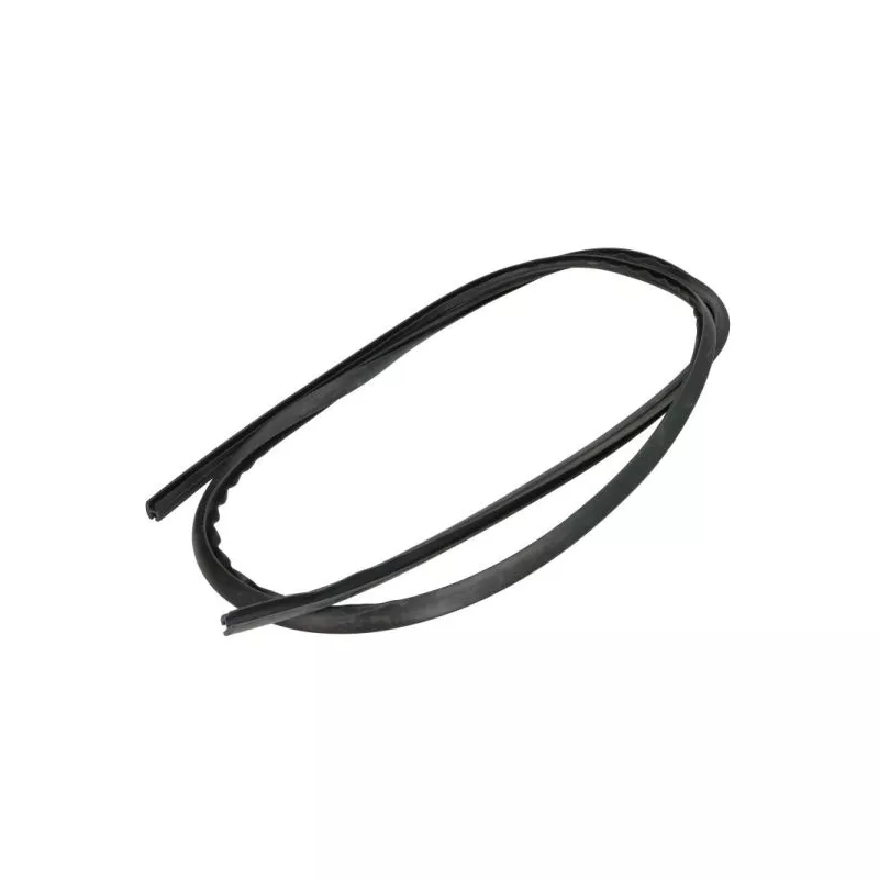 Baguette et bande protectrice, pare-brise avant droit BLIC 5703-04-6037403Q