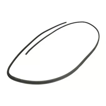 Baguette et bande protectrice, pare-brise avant droit BLIC