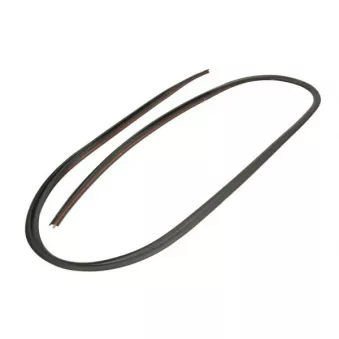 Baguette et bande protectrice, pare-brise avant droit BLIC