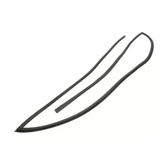 Baguette et bande protectrice, pare-brise avant droit BLIC