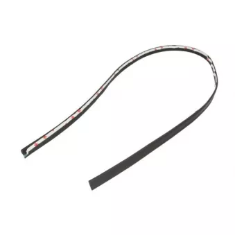 Joint d'étanchéité, pare-brise avant droit BLIC