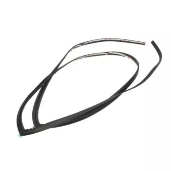 Baguette et bande protectrice, pare-brise BLIC