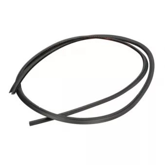 Baguette et bande protectrice, pare-brise avant droit BLIC