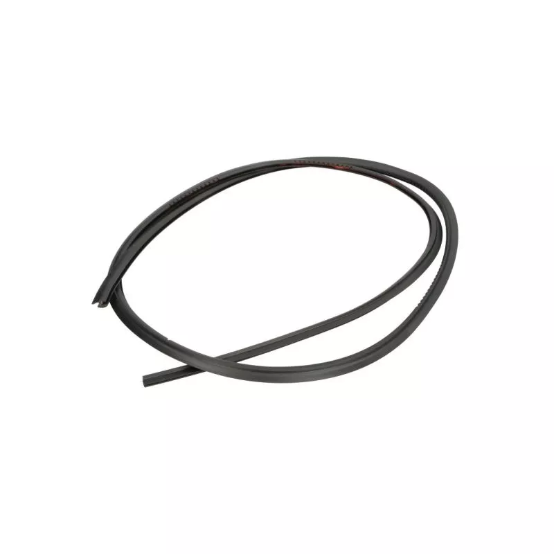 Baguette et bande protectrice, pare-brise avant droit BLIC 5703-04-6037524Q