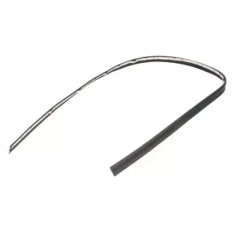 Baguette et bande protectrice, pare-brise avant droit BLIC