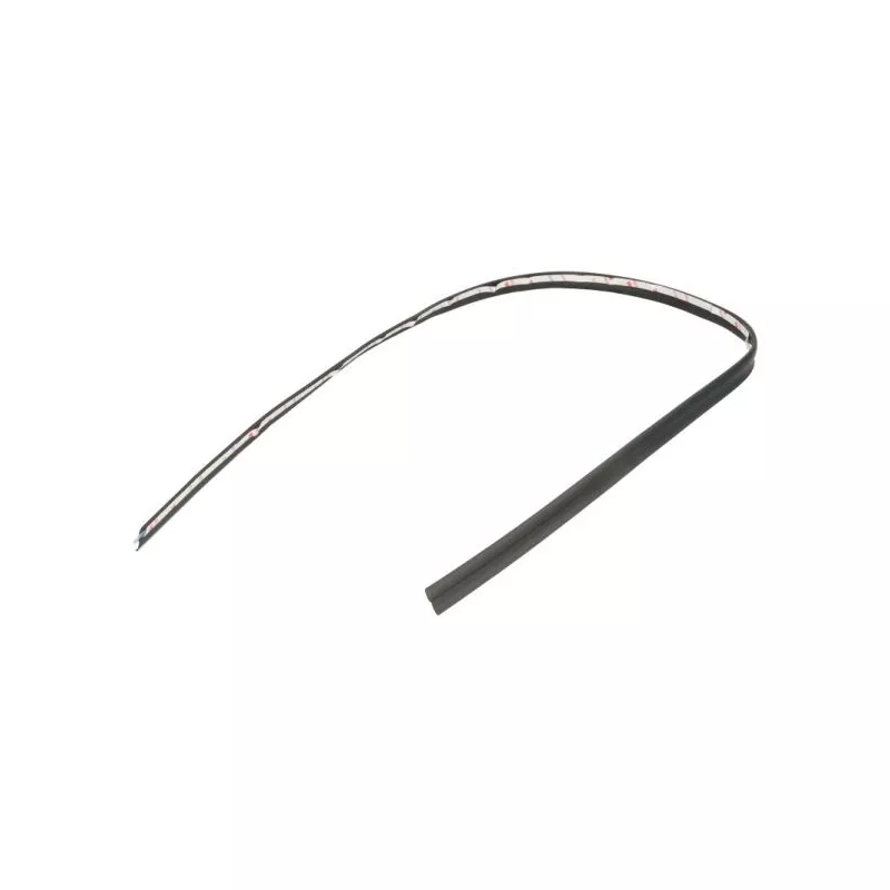 Baguette et bande protectrice, pare-brise avant droit BLIC 5703-04-6037530Q