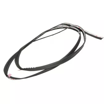 Baguette et bande protectrice, pare-brise BLIC