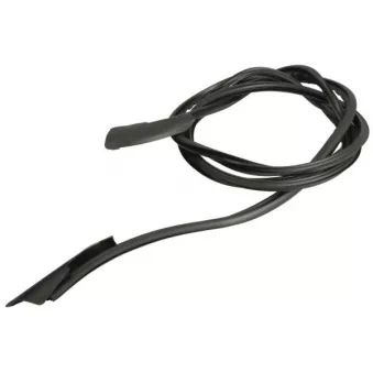 Baguette et bande protectrice, pare-brise avant droit BLIC