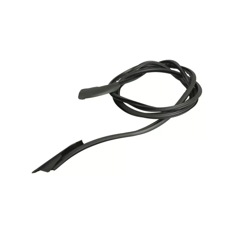 Baguette et bande protectrice, pare-brise avant droit BLIC 5703-04-6037570Q