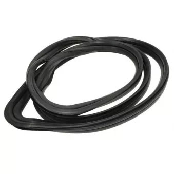 Joint d'étanchéité, vitre arrière arrière droit BLIC