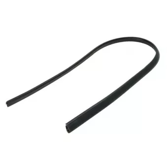 Baguette et bande protectrice, pare-brise avant droit BLIC