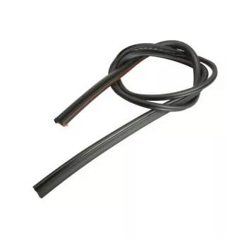 Baguette et bande protectrice, pare-brise avant droit BLIC