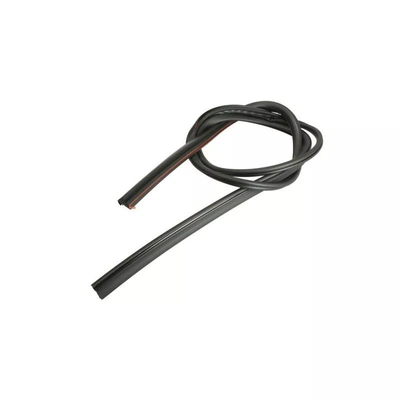 Baguette et bande protectrice, pare-brise avant droit BLIC 5703-04-6037623Q