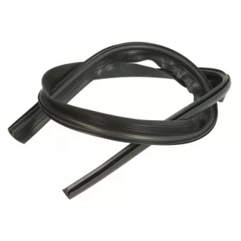 Baguette et bande protectrice, pare-brise avant droit BLIC