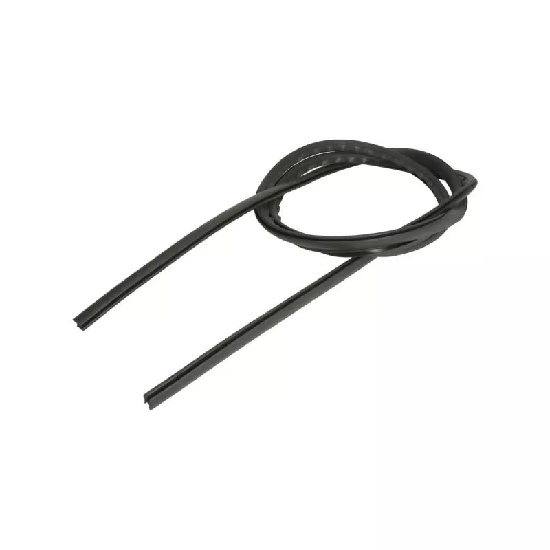 Baguette et bande protectrice, pare-brise avant droit BLIC 5703-04-6037648Q