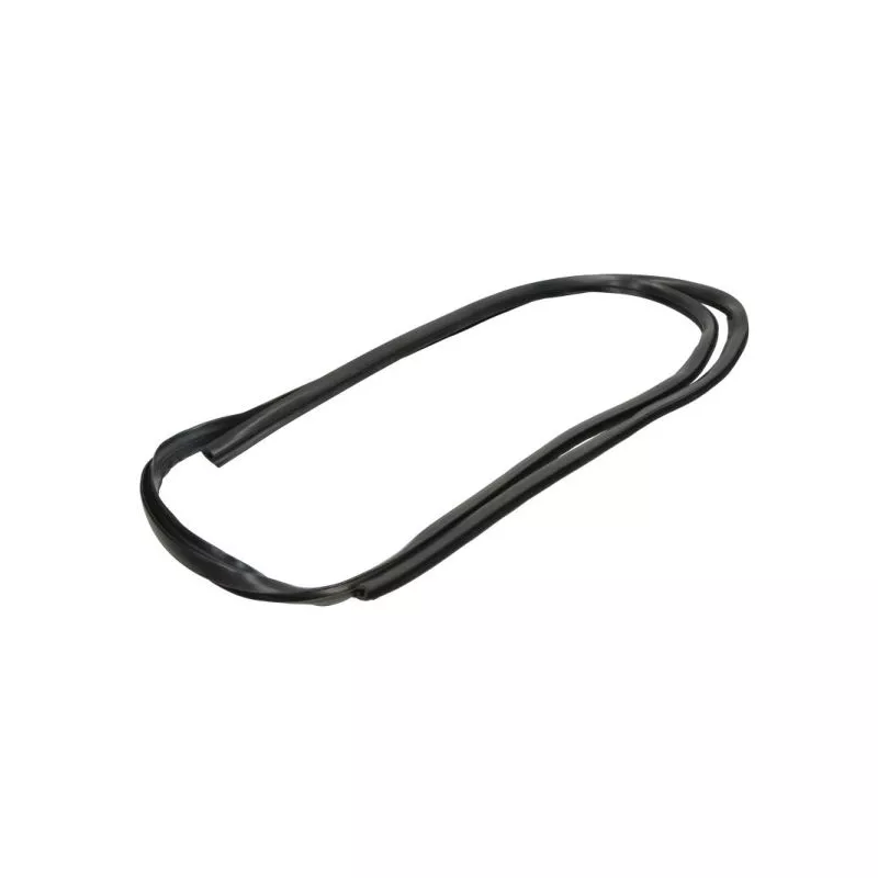 Baguette et bande protectrice, pare-brise avant droit BLIC 5703-04-6037665Q