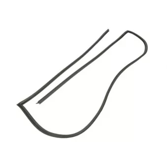 Joint d'étanchéité, pare-brise avant droit BLIC