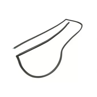 Joint d'étanchéité, pare-brise avant droit BLIC