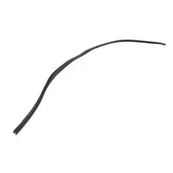 Baguette et bande protectrice, pare-brise avant droit BLIC