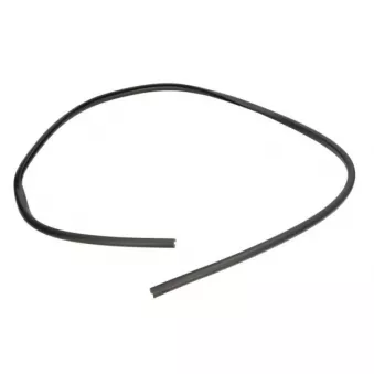 Baguette et bande protectrice, pare-brise avant droit (à l'unité) BLIC