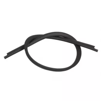 Baguette et bande protectrice, pare-brise avant droit BLIC