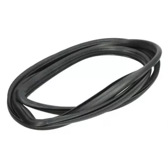 Joint d'étanchéité, pare-brise avant droit BLIC