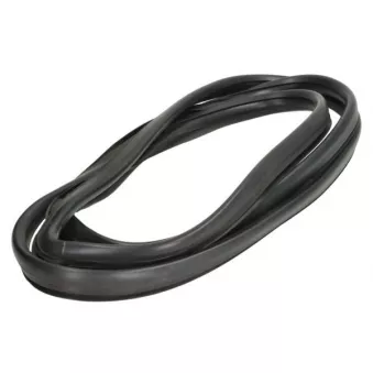 Joint d'étanchéité, pare-brise avant droit BLIC