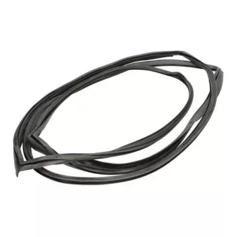 Baguette et bande protectrice, pare-brise avant droit BLIC