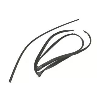 Baguette et bande protectrice, pare-brise avant droit BLIC