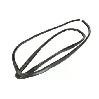 Baguette et bande protectrice, pare-brise avant droit BLIC