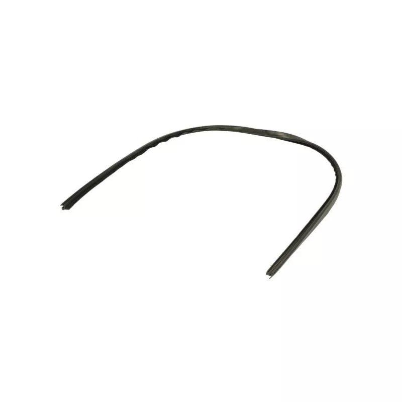 Baguette et bande protectrice, pare-brise avant droit BLIC 5703-04-6037732Q