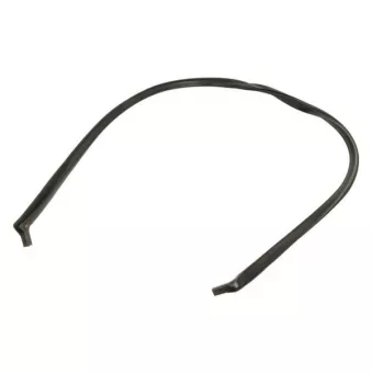 Baguette et bande protectrice, pare-brise avant droit BLIC