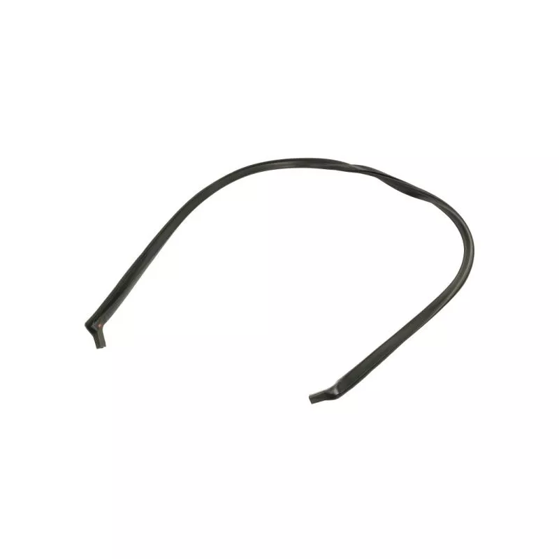 Baguette et bande protectrice, pare-brise avant droit BLIC 5703-04-6037755Q