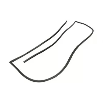 Joint d'étanchéité, pare-brise avant droit BLIC