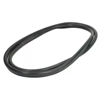 Joint d'étanchéité, vitre arrière arrière droit BLIC