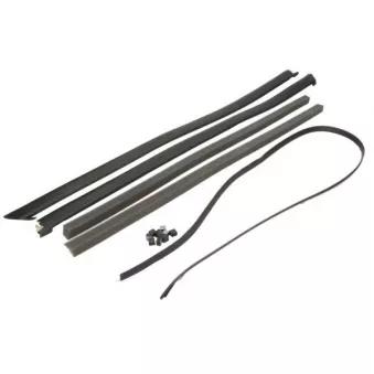 Baguette et bande protectrice, pare-brise avant droit BLIC