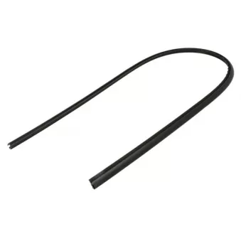 Baguette et bande protectrice, pare-brise avant droit BLIC