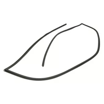 Baguette et bande protectrice, pare-brise avant droit BLIC