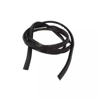 Baguette et bande protectrice, pare-brise avant droit BLIC