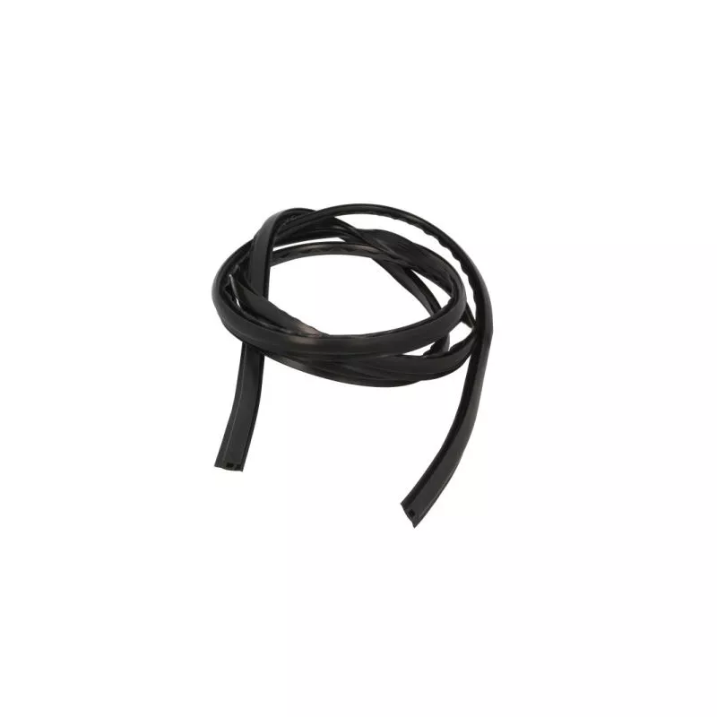 Baguette et bande protectrice, pare-brise avant droit BLIC 5703-04-6037883Q