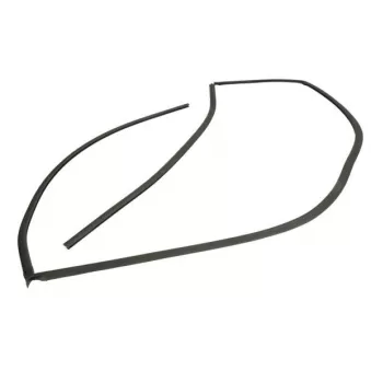 Joint d'étanchéité, pare-brise avant droit BLIC