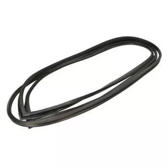 Baguette et bande protectrice, pare-brise avant droit BLIC