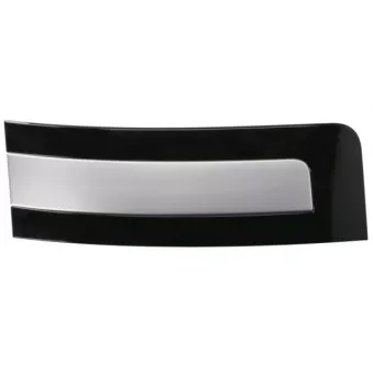 Baguette et bande protectrice, porte avant gauche BLIC