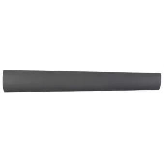 Baguette et bande protectrice, porte avant droit BLIC