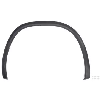 Baguette et bande protectrice, aile avant droit BLIC