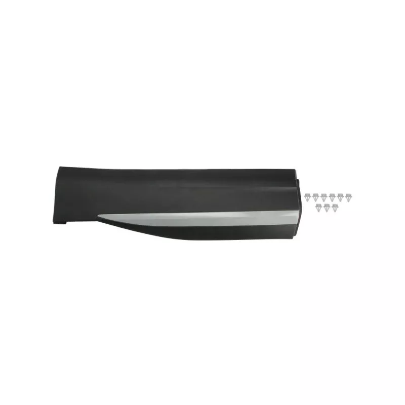 Baguette et bande protectrice, porte avant gauche BLIC 5703-04-7802575P